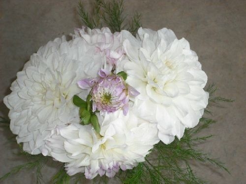 Eveline Attendant Bouquet 2011 | Dahlia Wedding Bride Bouquets