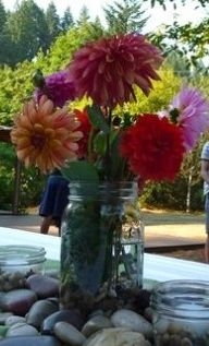 Mason Jar Dahlia Arrangement 2011 | Dahlia Wedding Cakes Arrangements