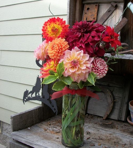  | Dahlia Arrangements Bouquets