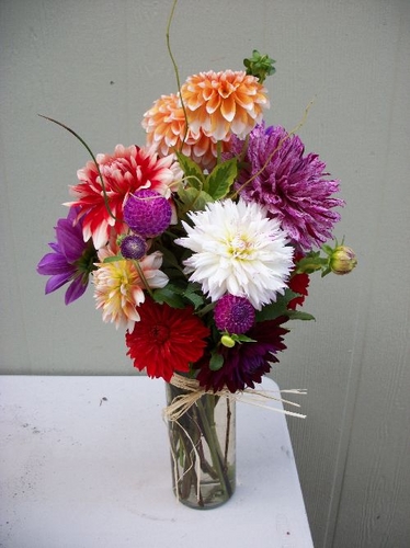  | Dahlia Arrangements Bouquets