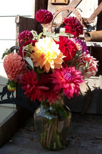  | Dahlia Arrangements Bouquets