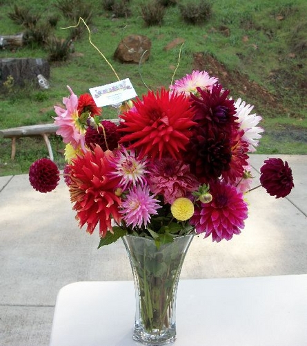  | Dahlia Arrangements Bouquets