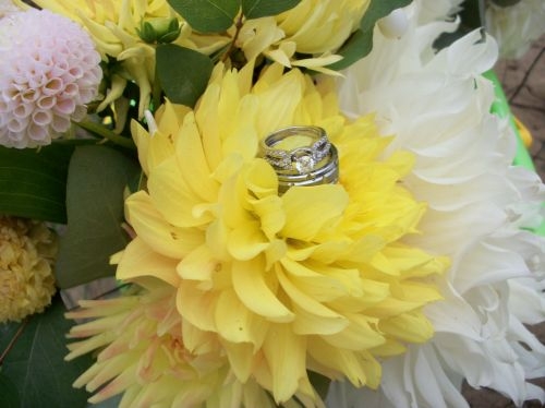 Ashlee Rings | Dahlia Wedding Cakes Arrangements