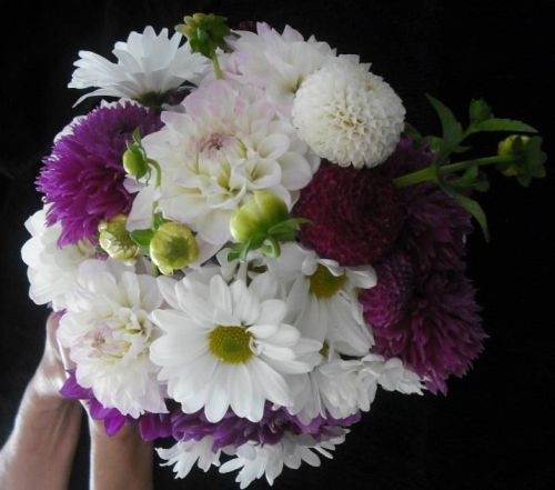 Bride Purple White Bouquet 2013 | Dahlia Wedding Bride Bouquets