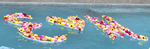 Dahlias Floating in Swimming Pool