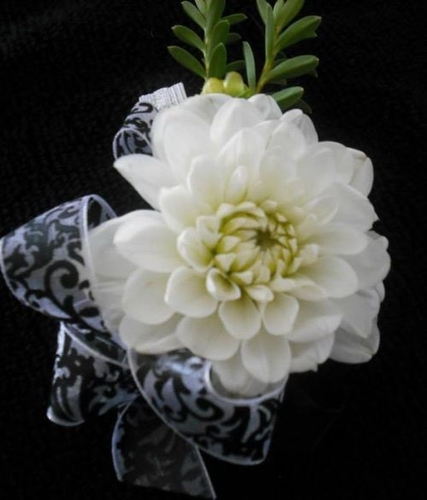 White Fawn Corsage 2013 | Dahlia Wedding Bride Bouquets